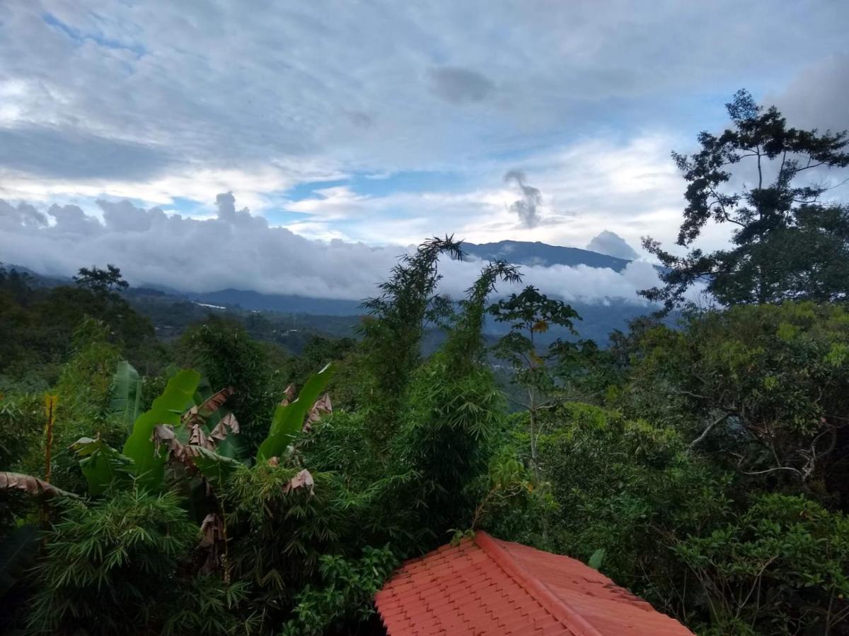 Hotel Green Mountain Turrialba Eksteriør billede