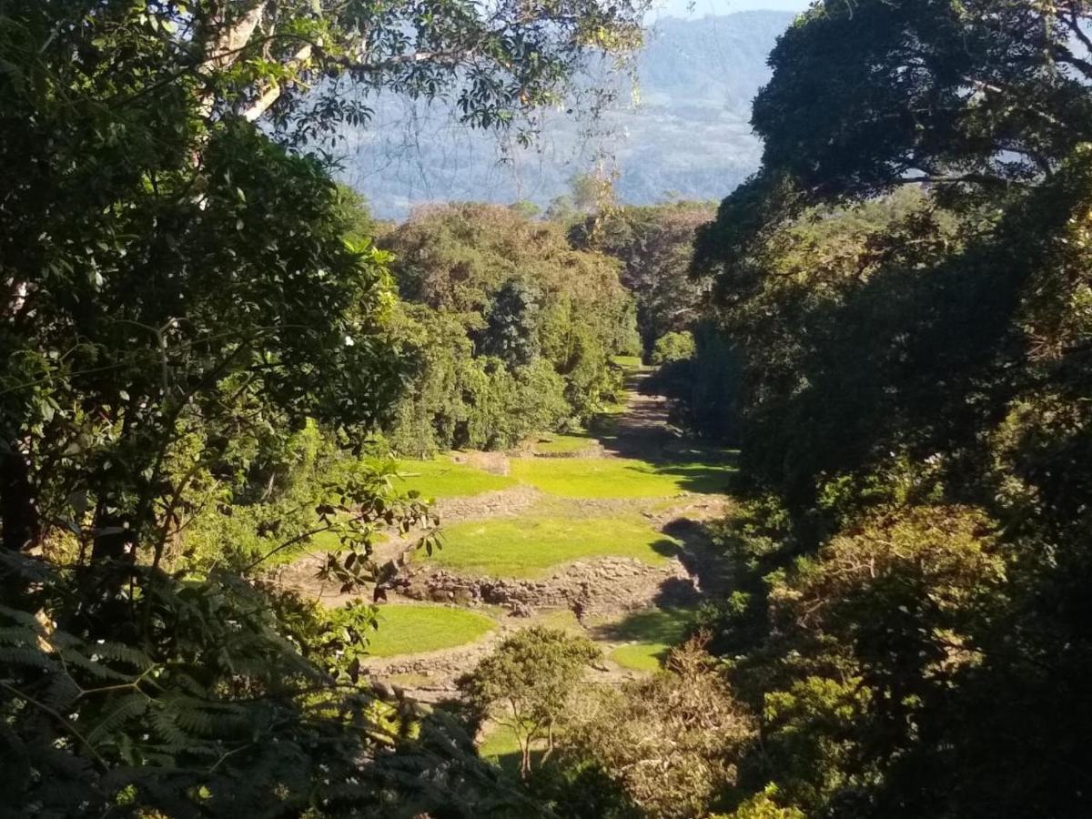 Hotel Green Mountain Turrialba Eksteriør billede