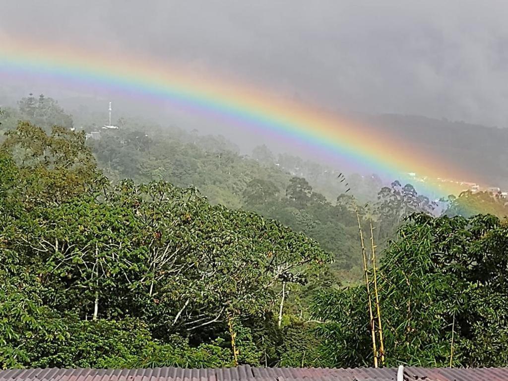 Hotel Green Mountain Turrialba Eksteriør billede