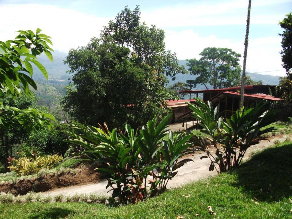 Hotel Green Mountain Turrialba Eksteriør billede