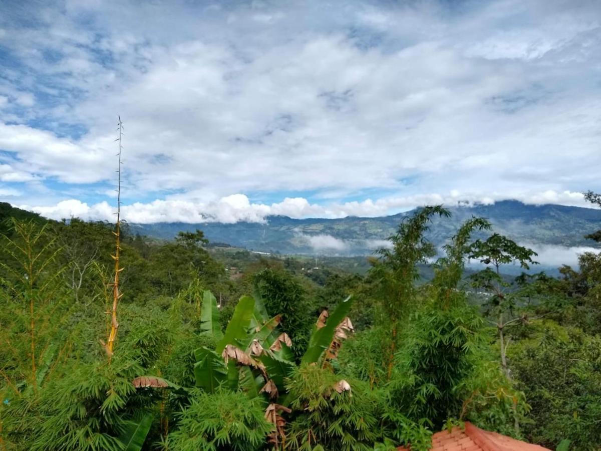 Hotel Green Mountain Turrialba Eksteriør billede