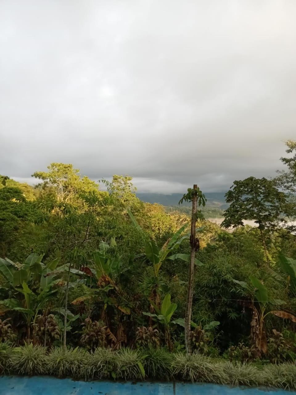 Hotel Green Mountain Turrialba Eksteriør billede