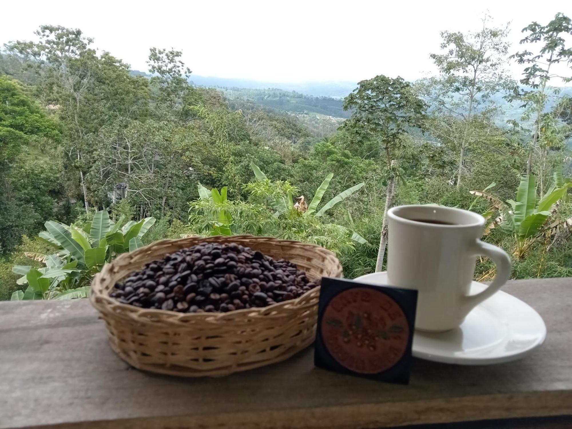Hotel Green Mountain Turrialba Eksteriør billede