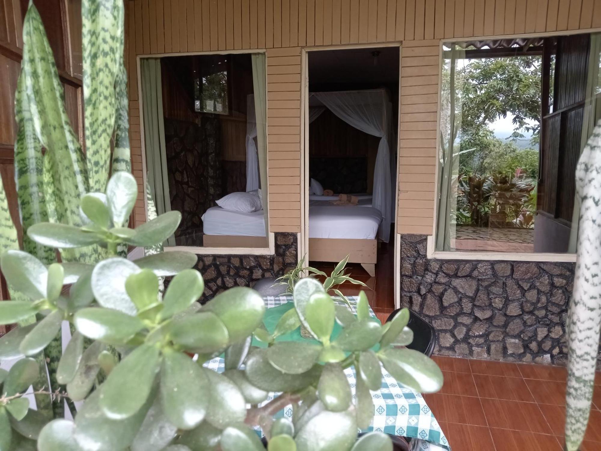 Hotel Green Mountain Turrialba Eksteriør billede