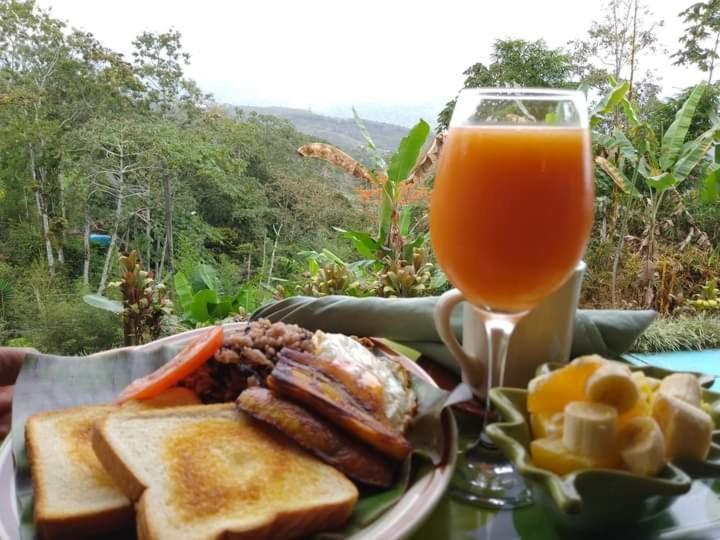 Hotel Green Mountain Turrialba Eksteriør billede