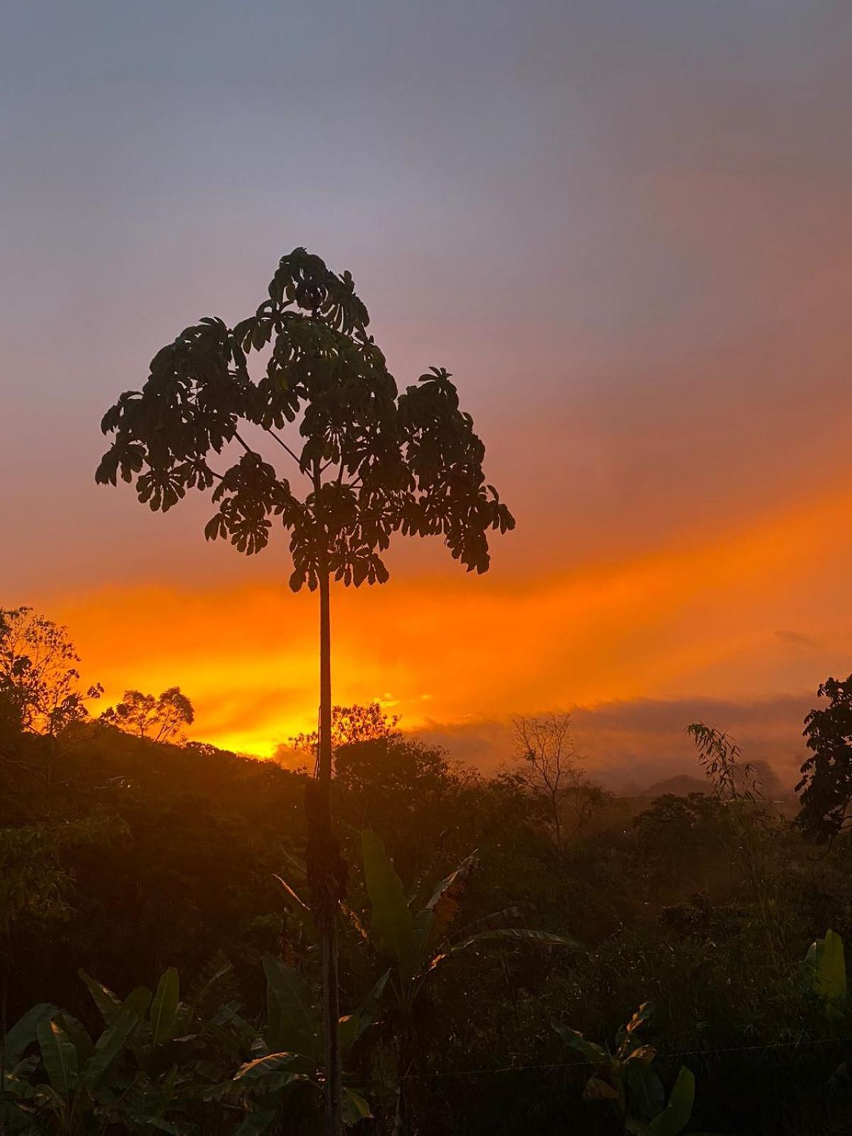 Hotel Green Mountain Turrialba Eksteriør billede