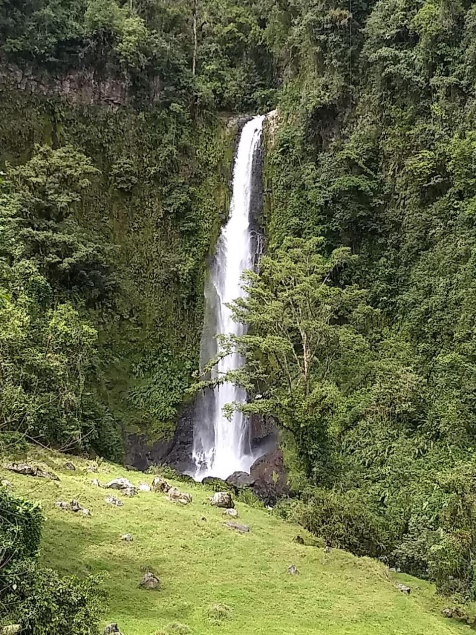 Hotel Green Mountain Turrialba Eksteriør billede
