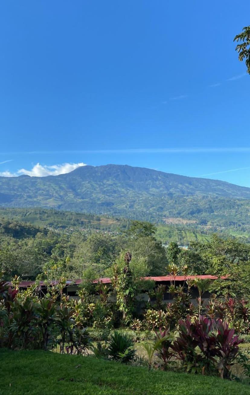 Hotel Green Mountain Turrialba Eksteriør billede
